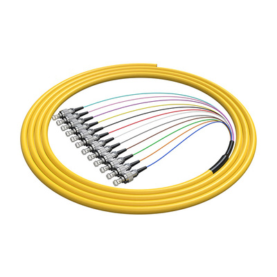 12芯單模束狀尾纖FC