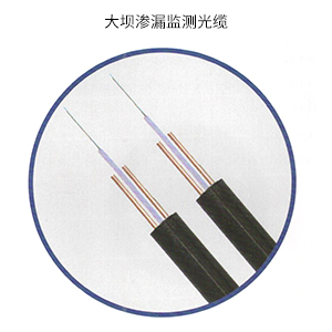 大坝渗漏监测光缆