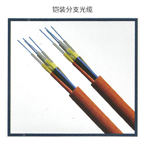 铠装分支光缆
