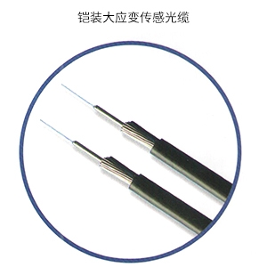 铠装大应变传感光缆