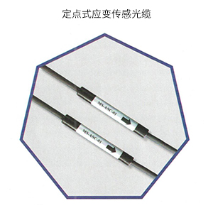 定点式应变传感光缆