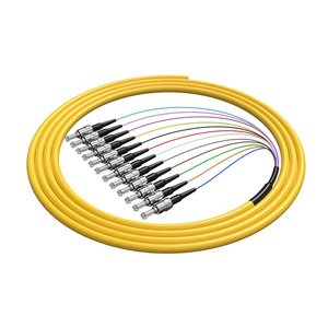 12芯單模束狀尾纖ST