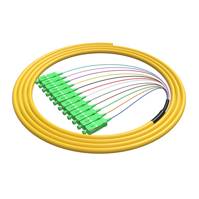 12芯單模束狀尾纖SC/APC