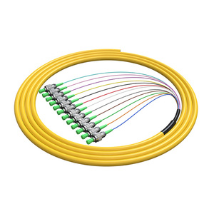 12芯單模束狀尾纖FC/APC