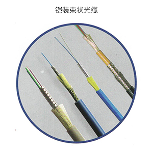 铠装束状光缆