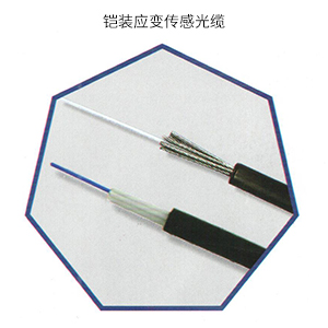 铠装应变传感光缆