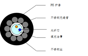 管道监测传感光缆 (SCTXG3Y-2A1a-3.5-BL)